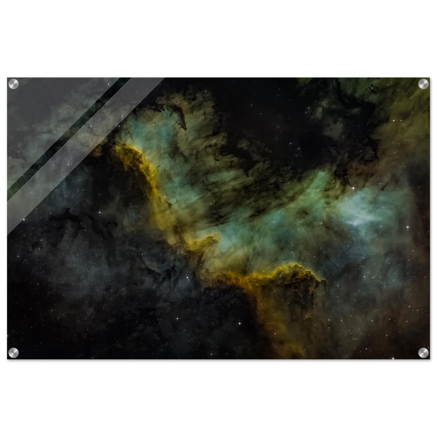 091f722a-02c9-47cb-9f9f-b903467d0609