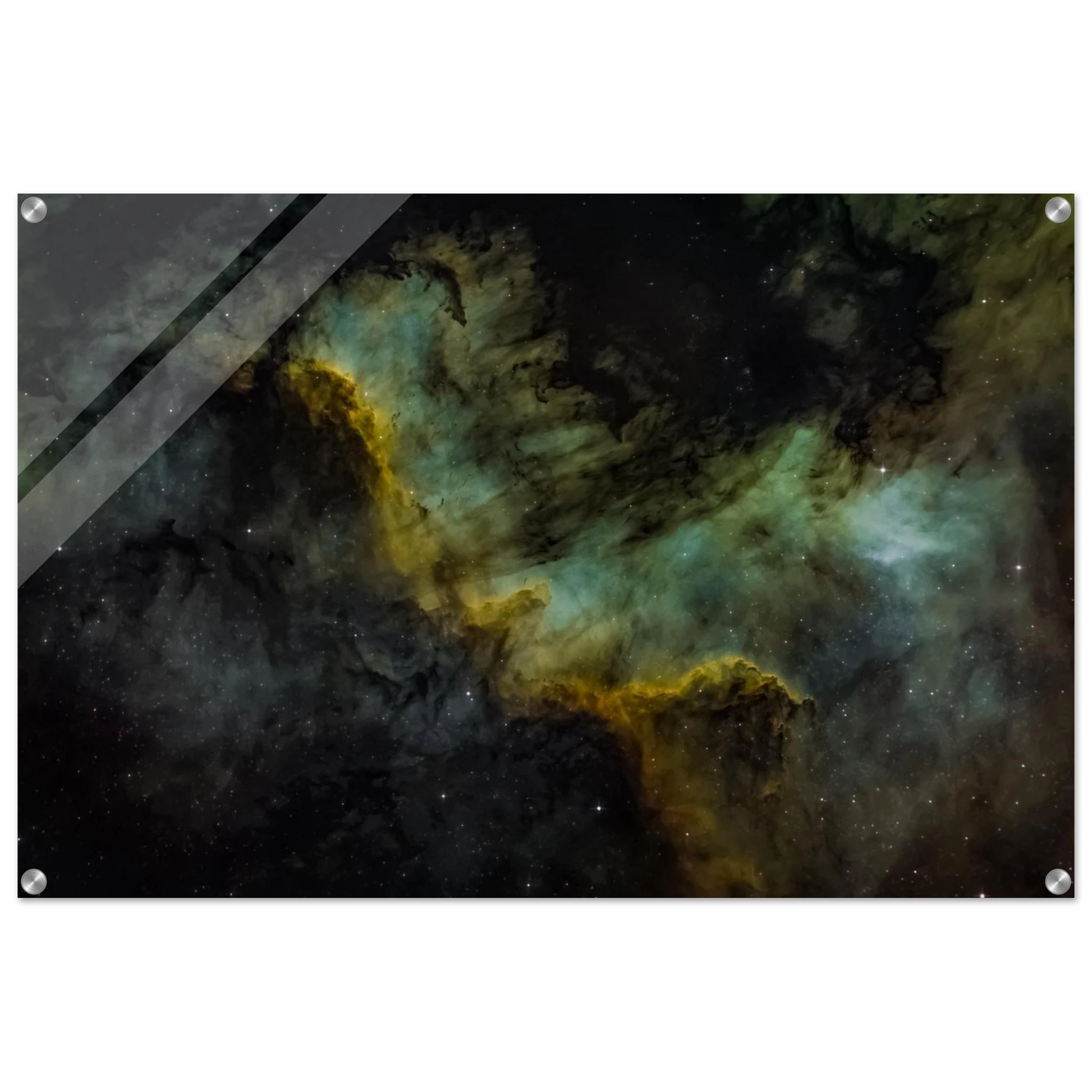 091f722a-02c9-47cb-9f9f-b903467d0609