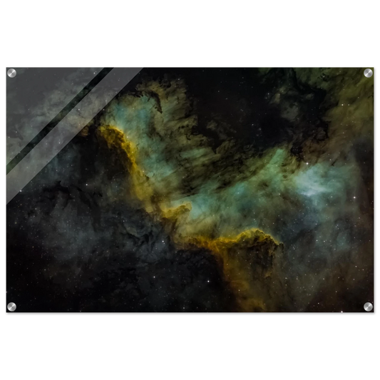 091f722a-02c9-47cb-9f9f-b903467d0609