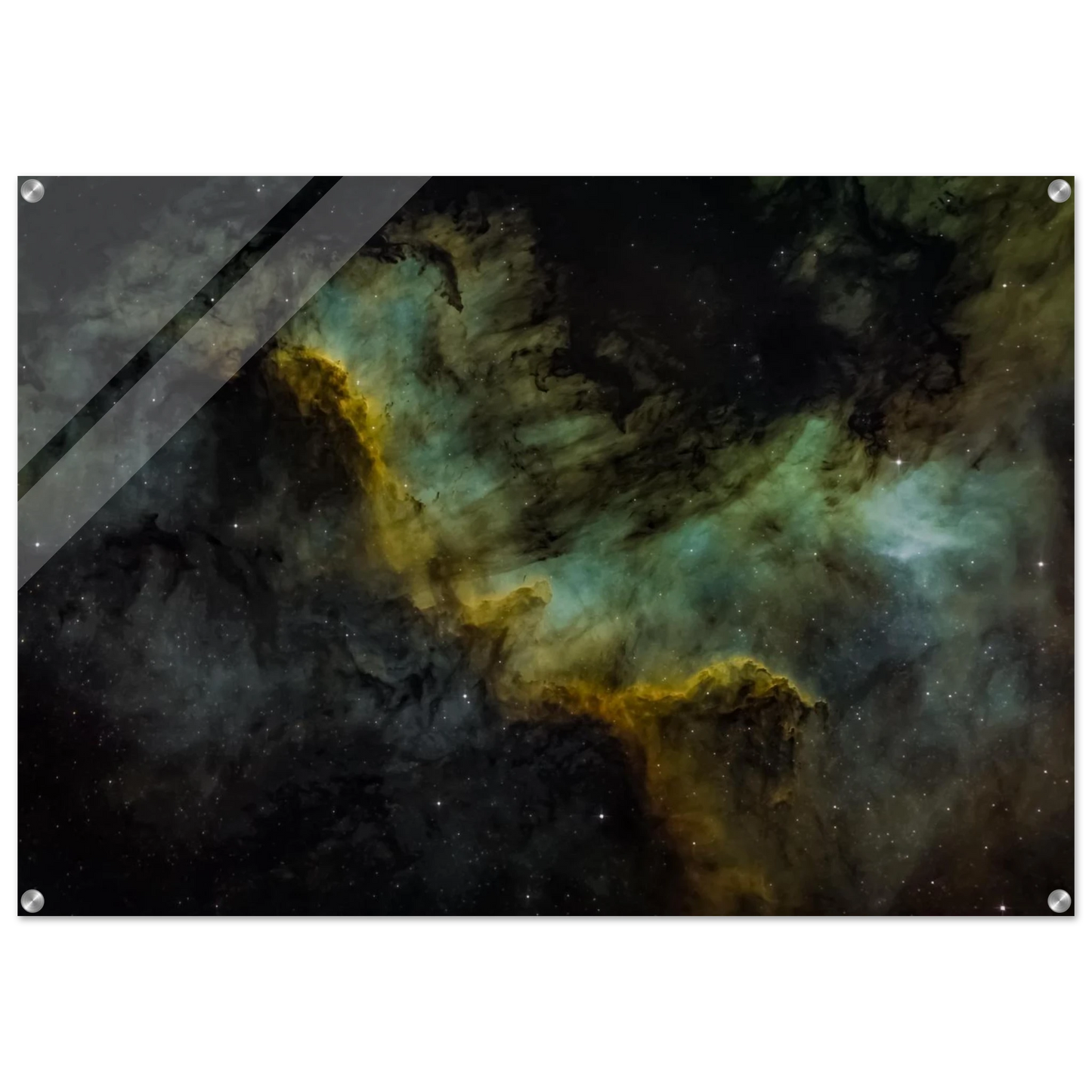 220f87b0-cea2-4a92-b15a-f16506d883c0