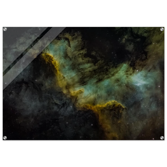 220f87b0-cea2-4a92-b15a-f16506d883c0