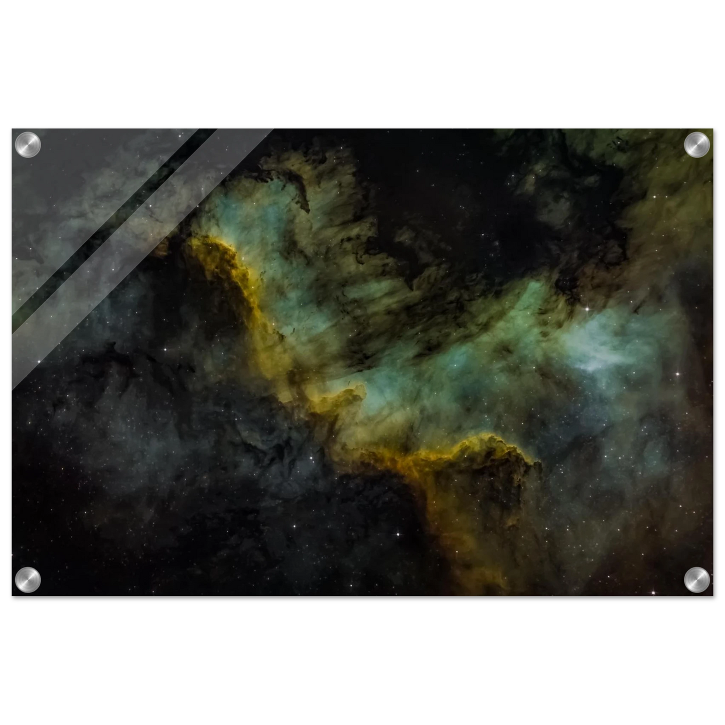 2436ebcc-4664-44e3-9ae2-7007d48540fc