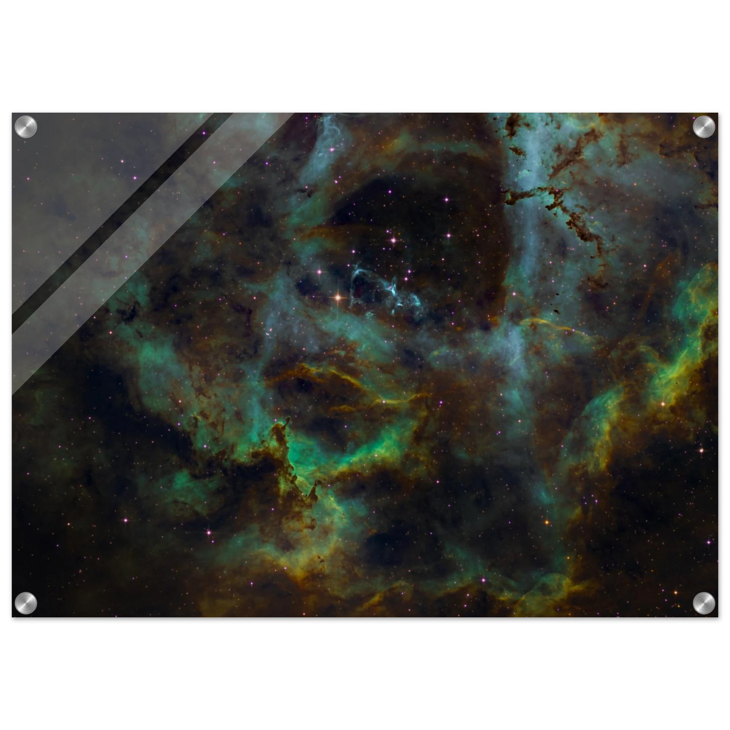 2b14ecbd-4b3b-49b7-a50c-4d1ac648504a