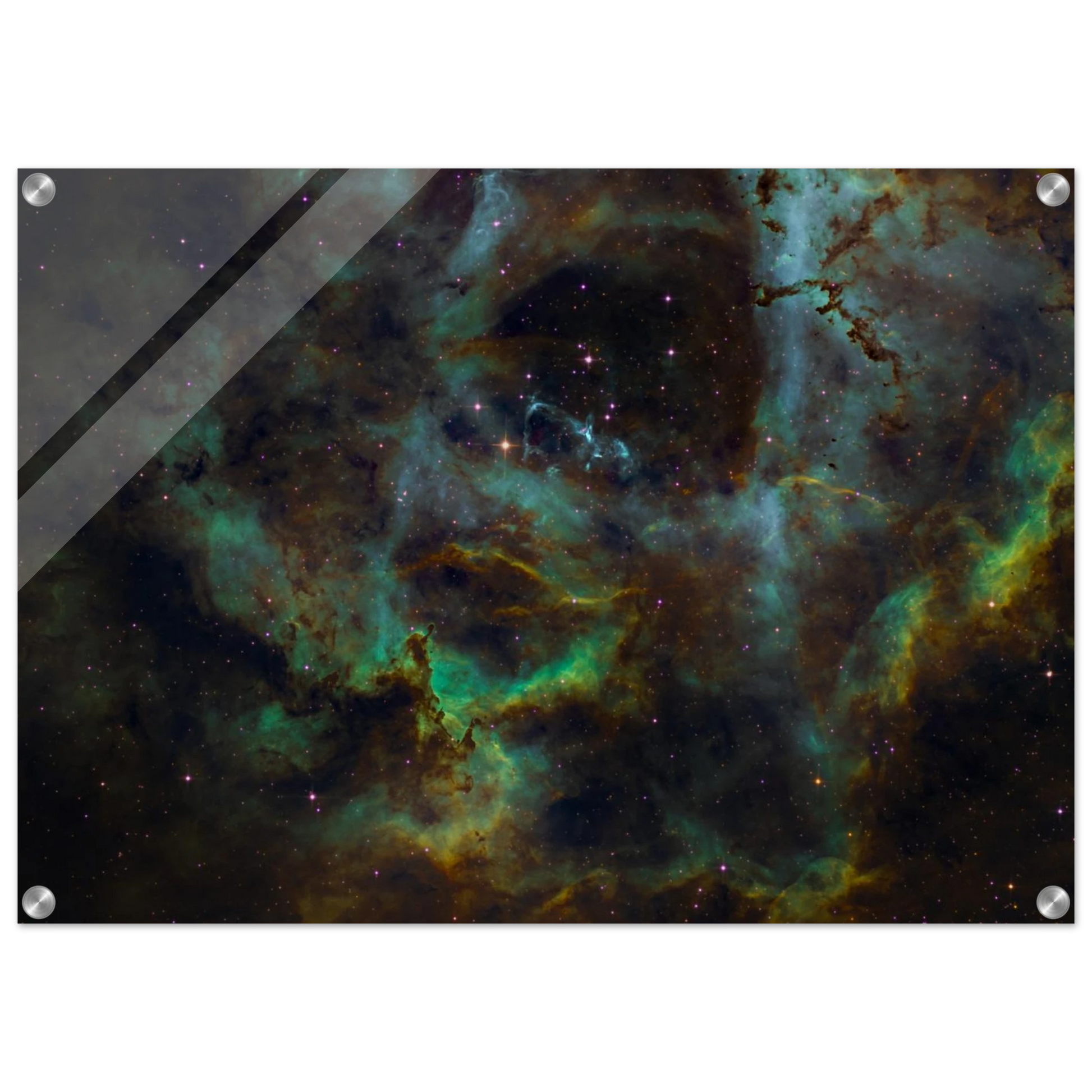 2b14ecbd-4b3b-49b7-a50c-4d1ac648504a