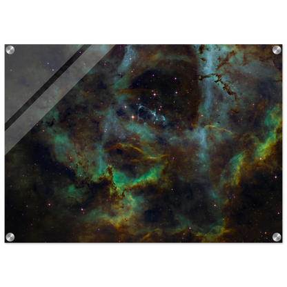 2b14ecbd-4b3b-49b7-a50c-4d1ac648504a