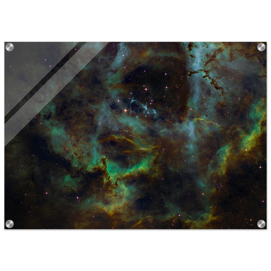 2b14ecbd-4b3b-49b7-a50c-4d1ac648504a