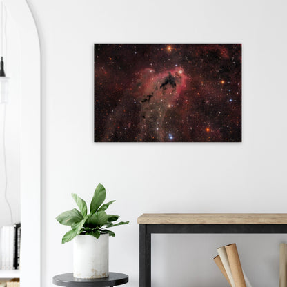 45f69b19-bae1-4ede-96e6-bdee0861642a