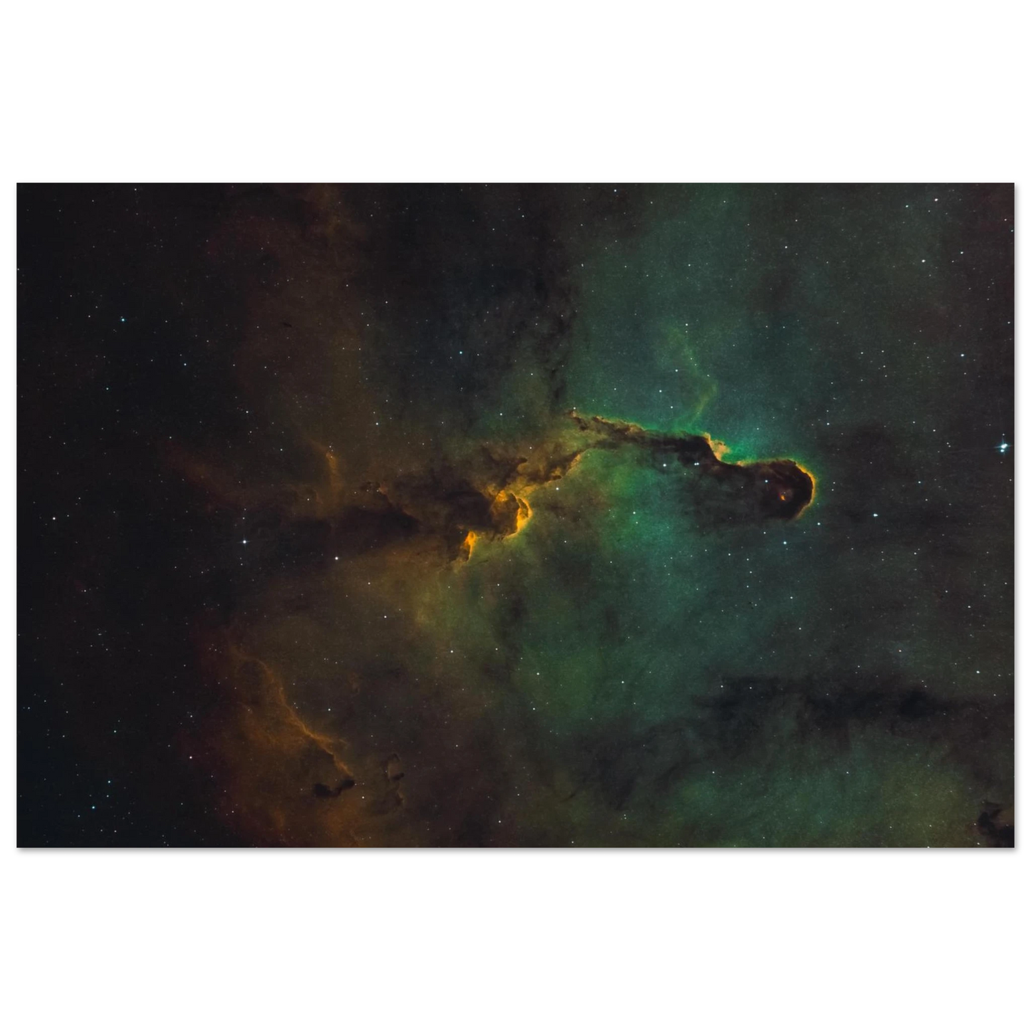 4878e228-1997-42df-abe1-03bf676d0ea4