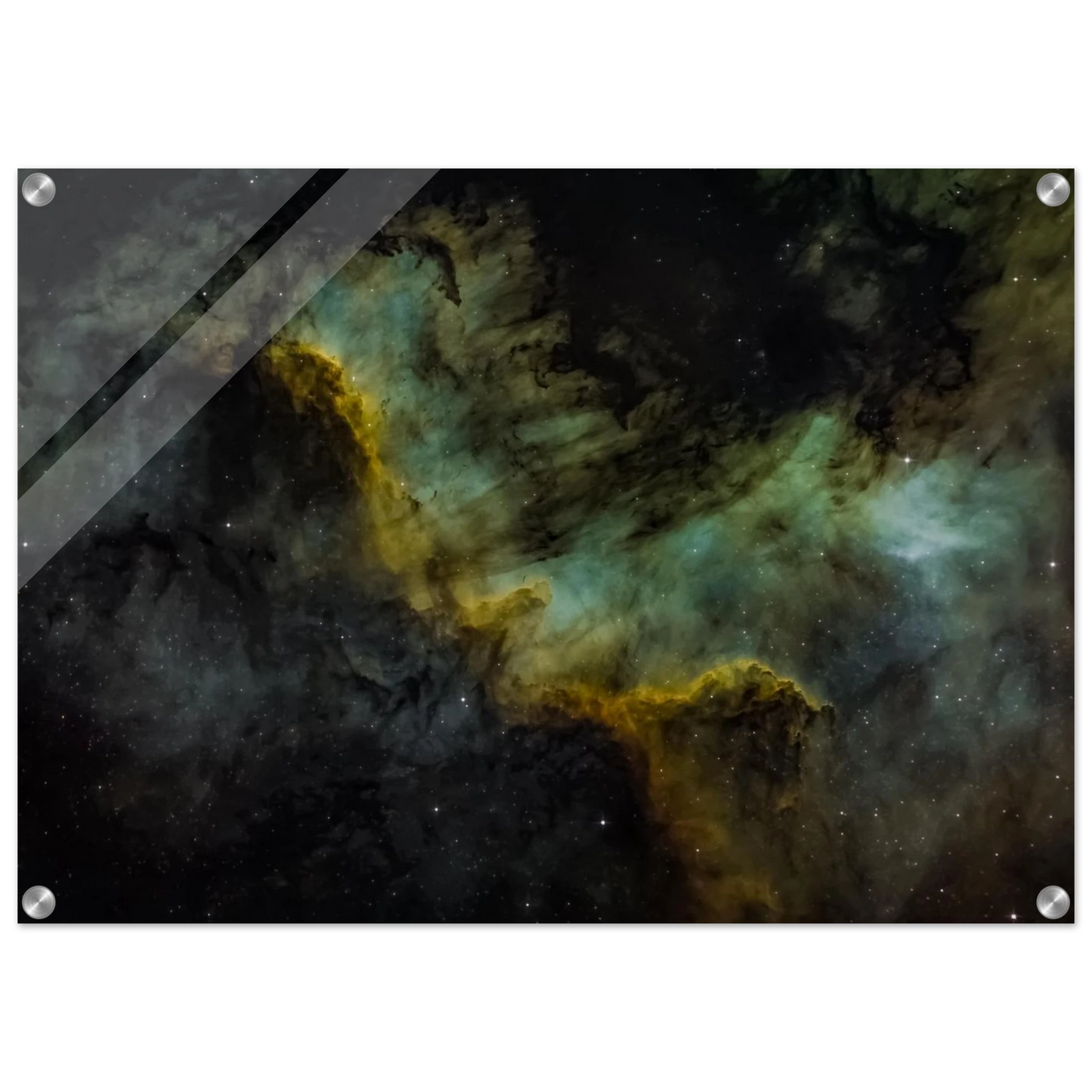 497cc590-75e1-4680-ac2e-8b6afe94812c