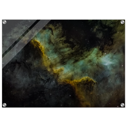 497cc590-75e1-4680-ac2e-8b6afe94812c