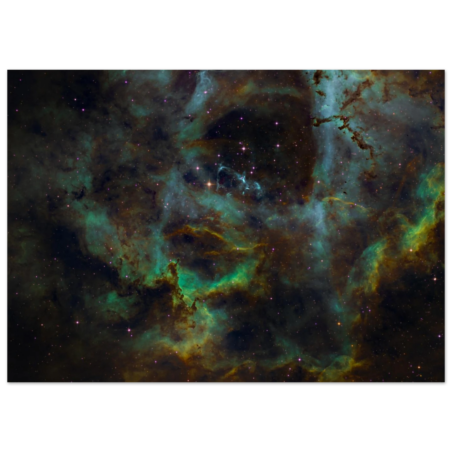 52a5de56-7936-4834-8ac5-83845d86da27