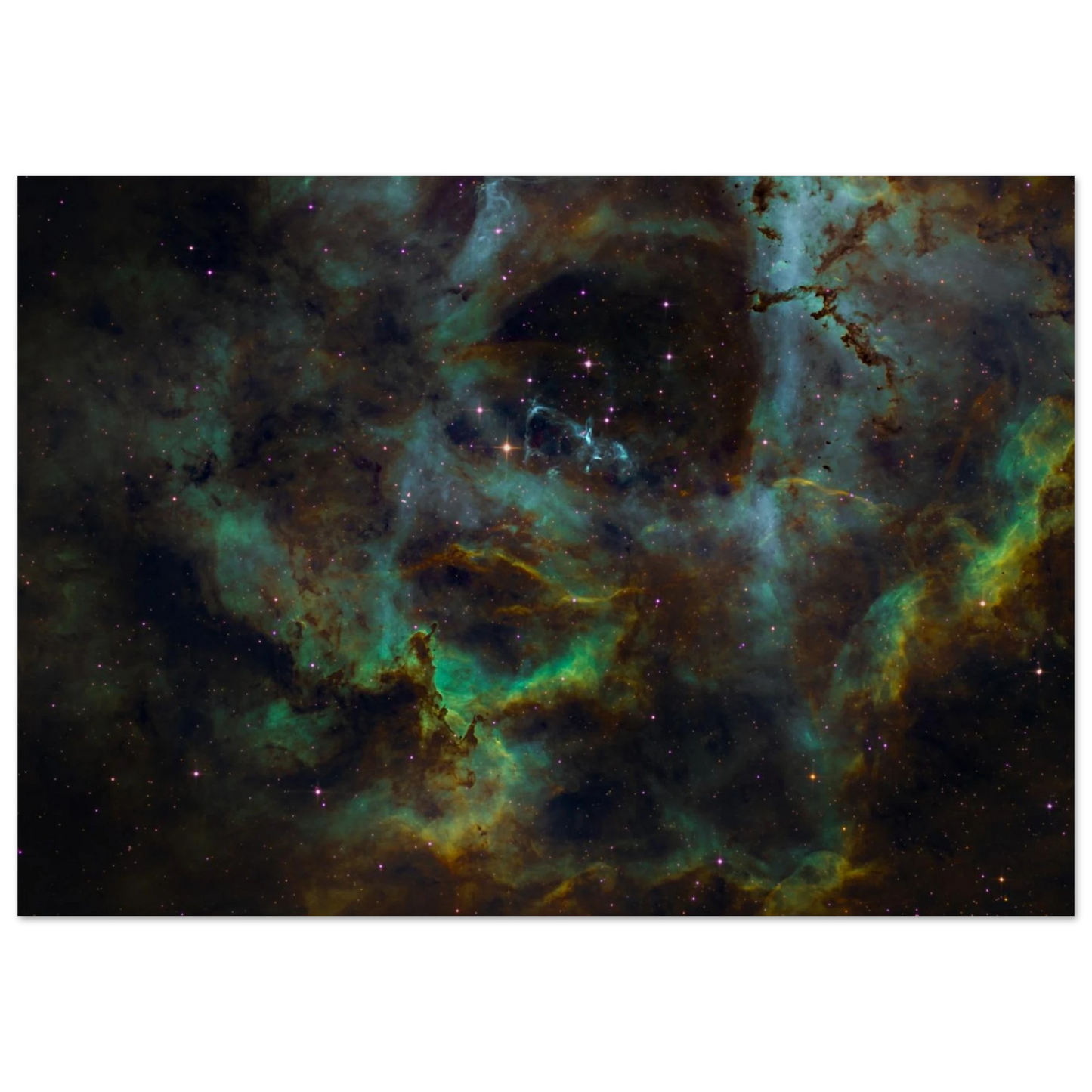 72a47a11-a6a4-45b8-a381-431708856cf3