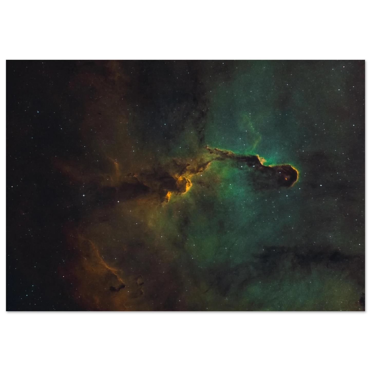 8a8531bb-56c1-4941-afaf-5b81104e3788