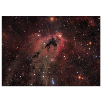 b2c8b1b1-1333-4d28-a26d-c74f23124c35