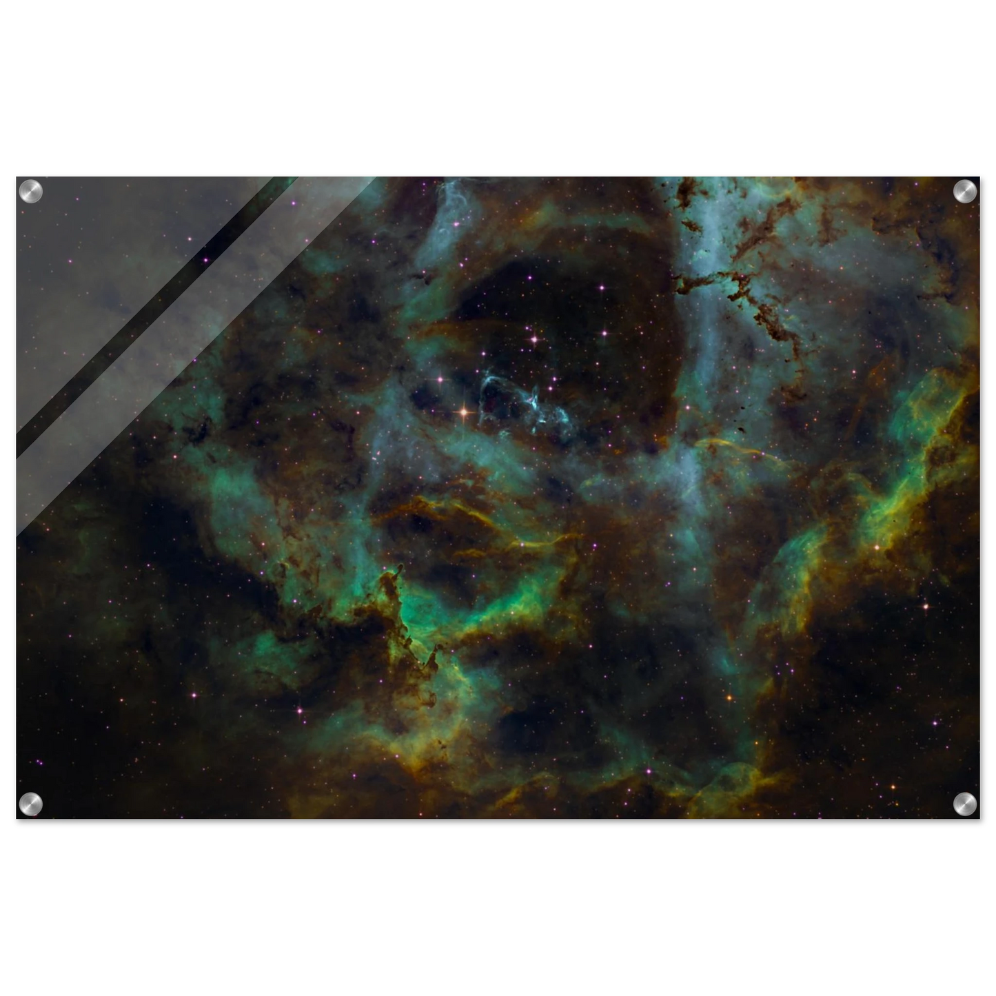 b35fe9c8-5532-4ba2-9439-891e7fdbbfda