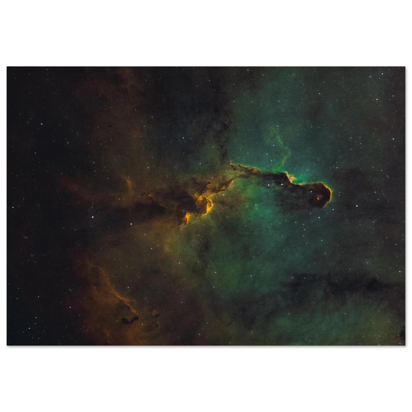 bb28125c-2c04-4f56-8f88-b6ffa804d106