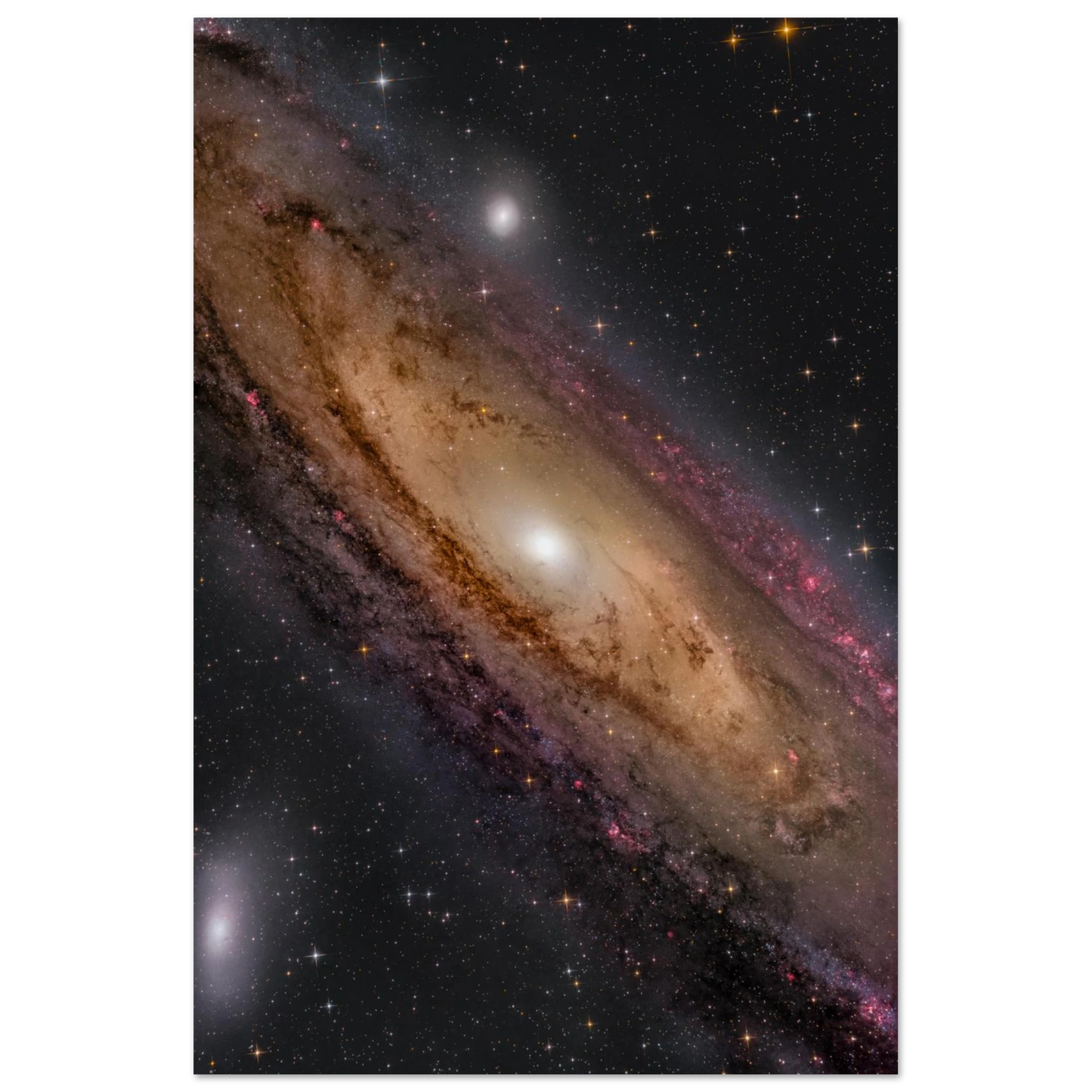 c3fffe90-3369-4ae4-8b37-dc49a098add8