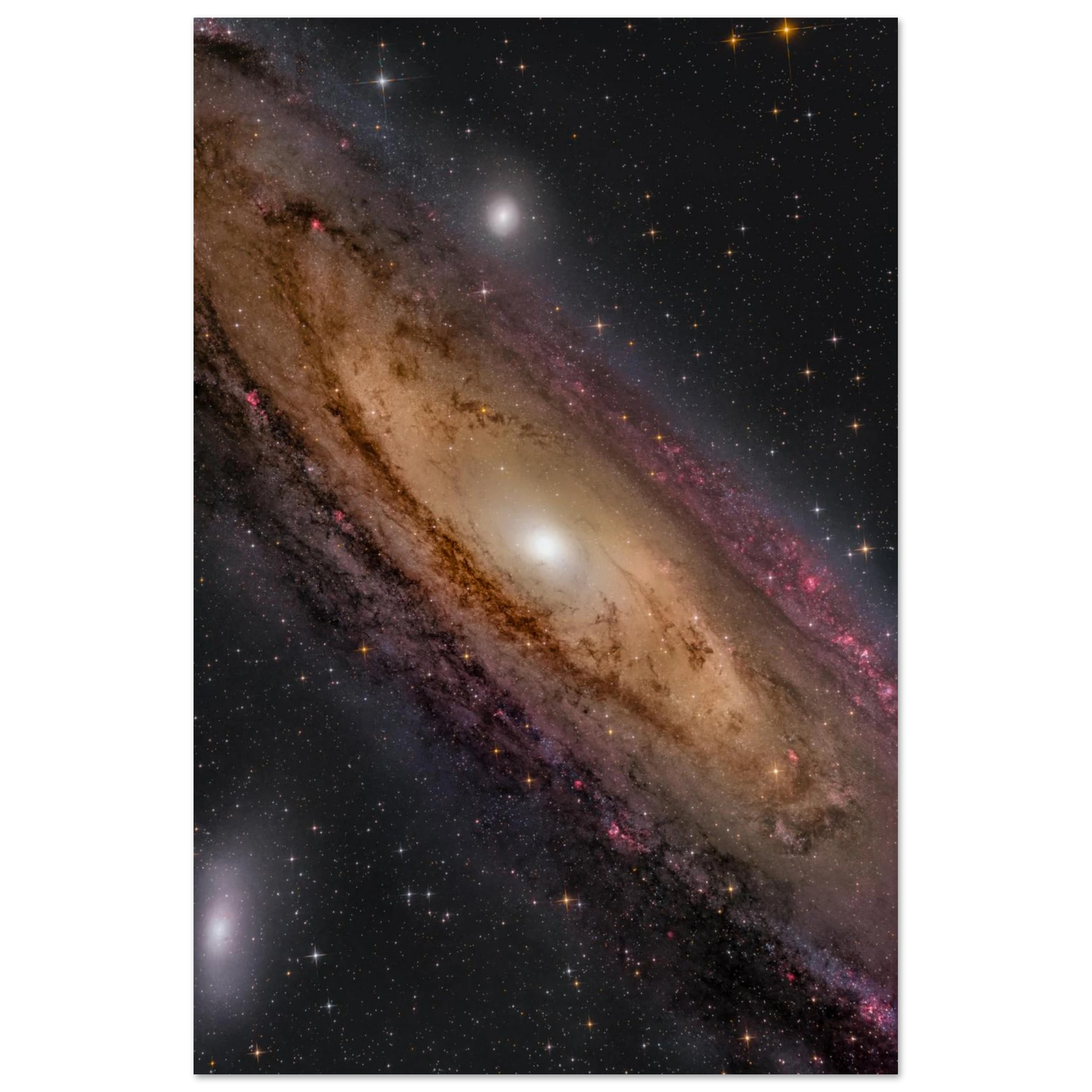 c3fffe90-3369-4ae4-8b37-dc49a098add8